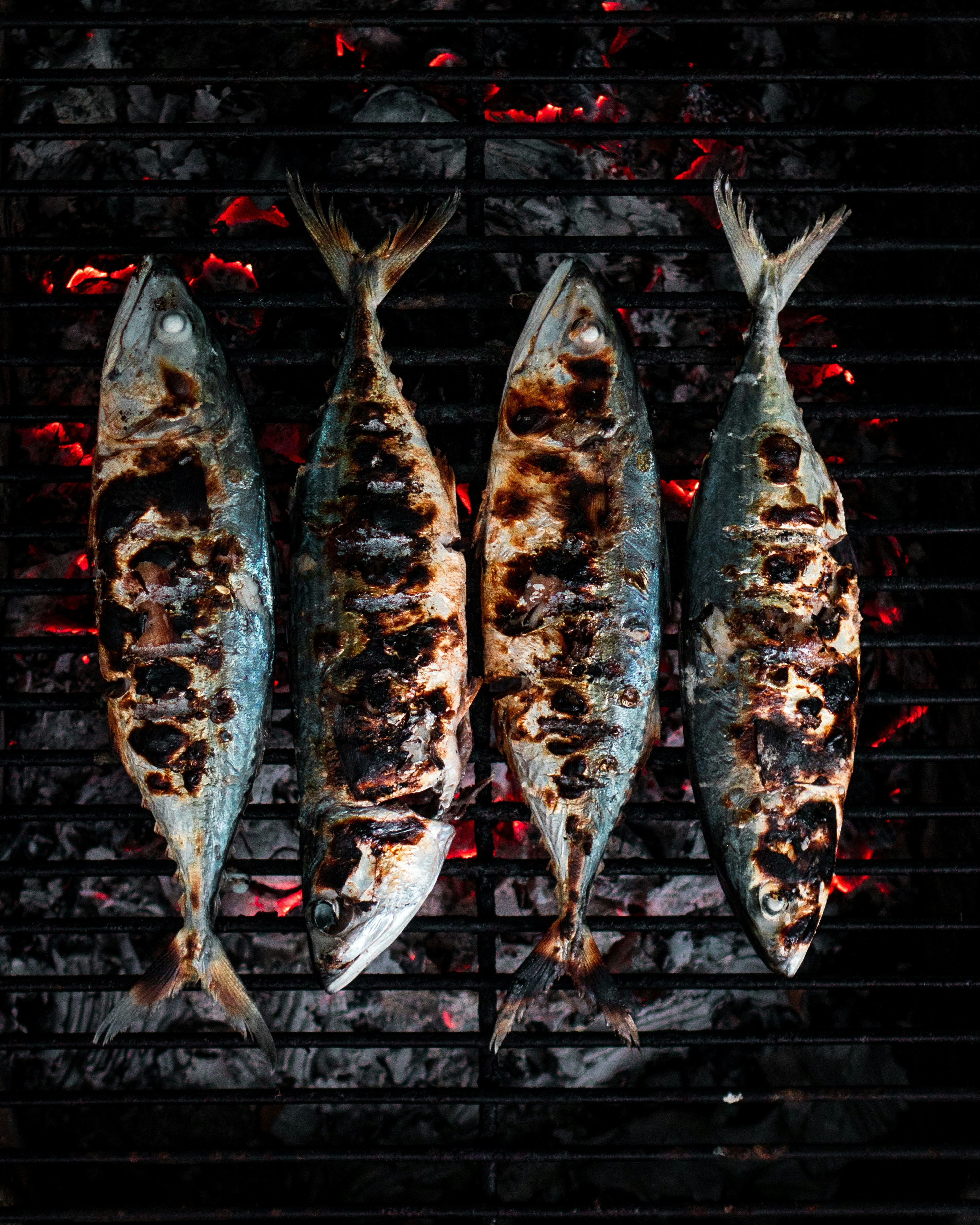 Grilled fish over charcoal — Dalmatian tradition