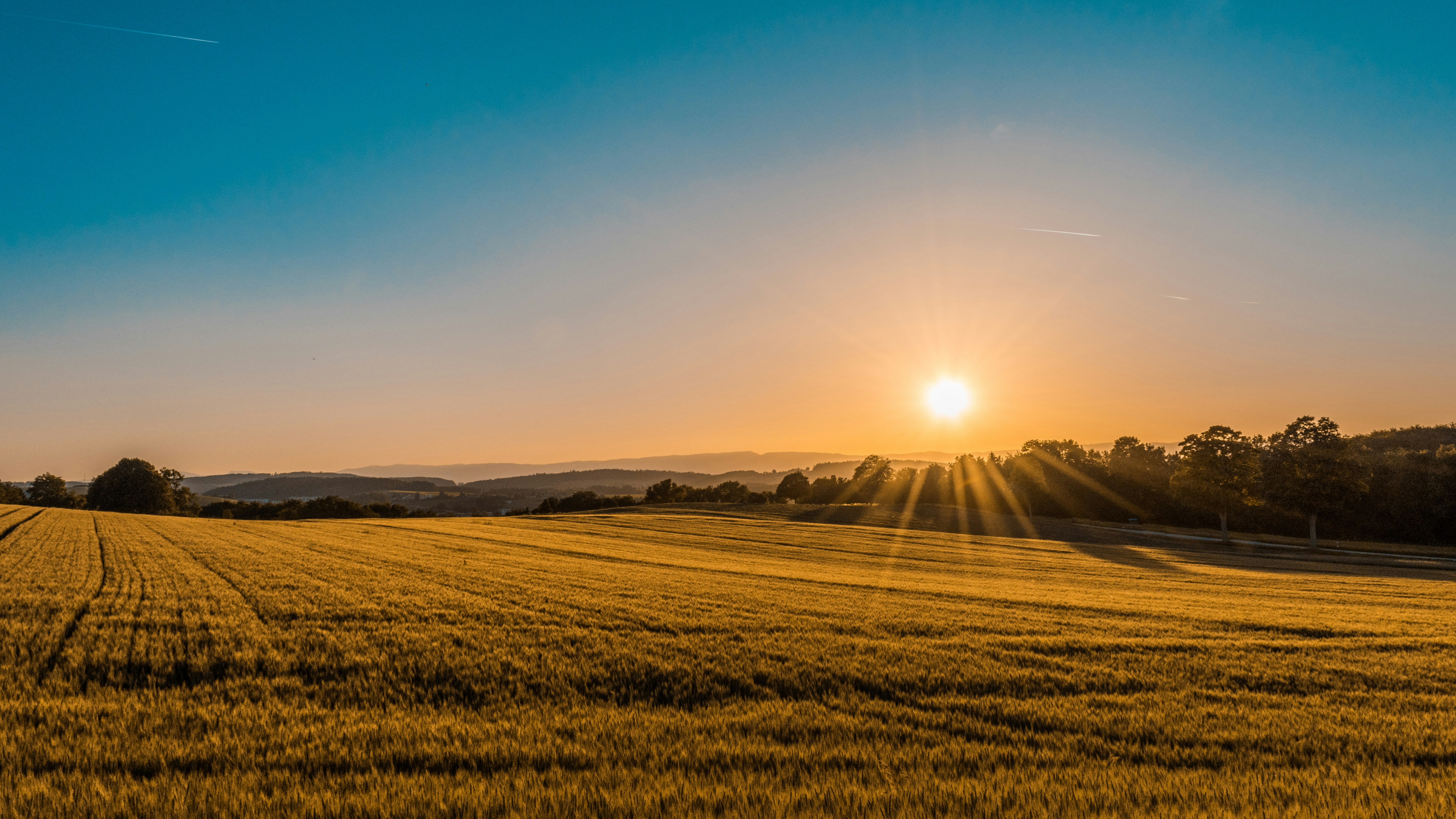 Slavonian golden fields sunset